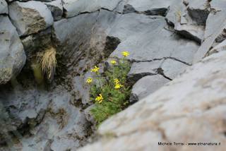 rrente Quarantore-05-08-2015 17-25-11